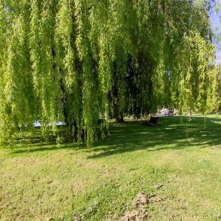 Cosy Avec Piscine Partagée Et étang Privé, Proche Bergerac Et Sites Touristiques Du Périgord - Fr-1-616-207 Appartamento *